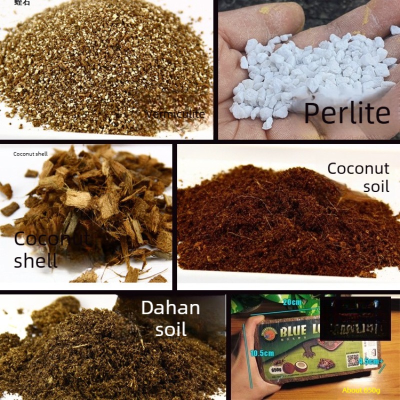 Sphagnum Moss Dry - Kokosbodemsteen Reptielensubstraat Schildpad Gekko Slang Vivarium