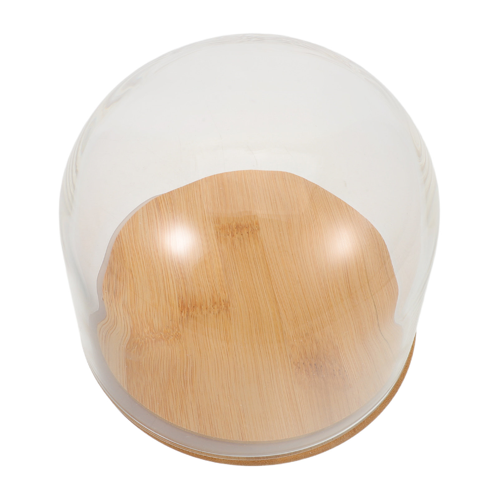 Transparante glazen koepel met - Plastic Dome Clear recensie en prijs