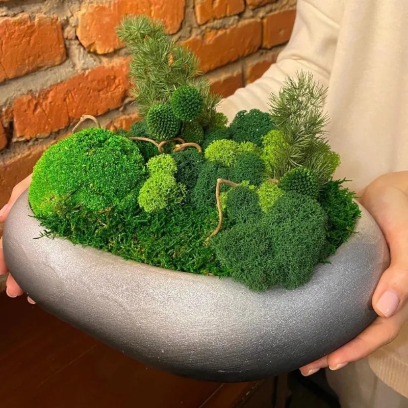 Kunstmos Kunstmatig Groen Mos  - Sphagnum Moss Dry recensie en prijs