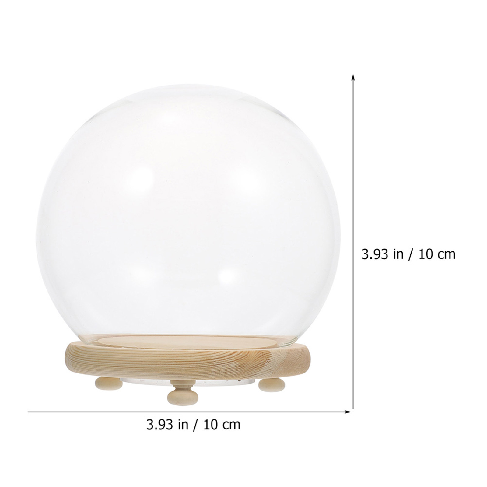 Gepreserveerde bloem glazen ko - Plastic Dome Clear recensie en prijs