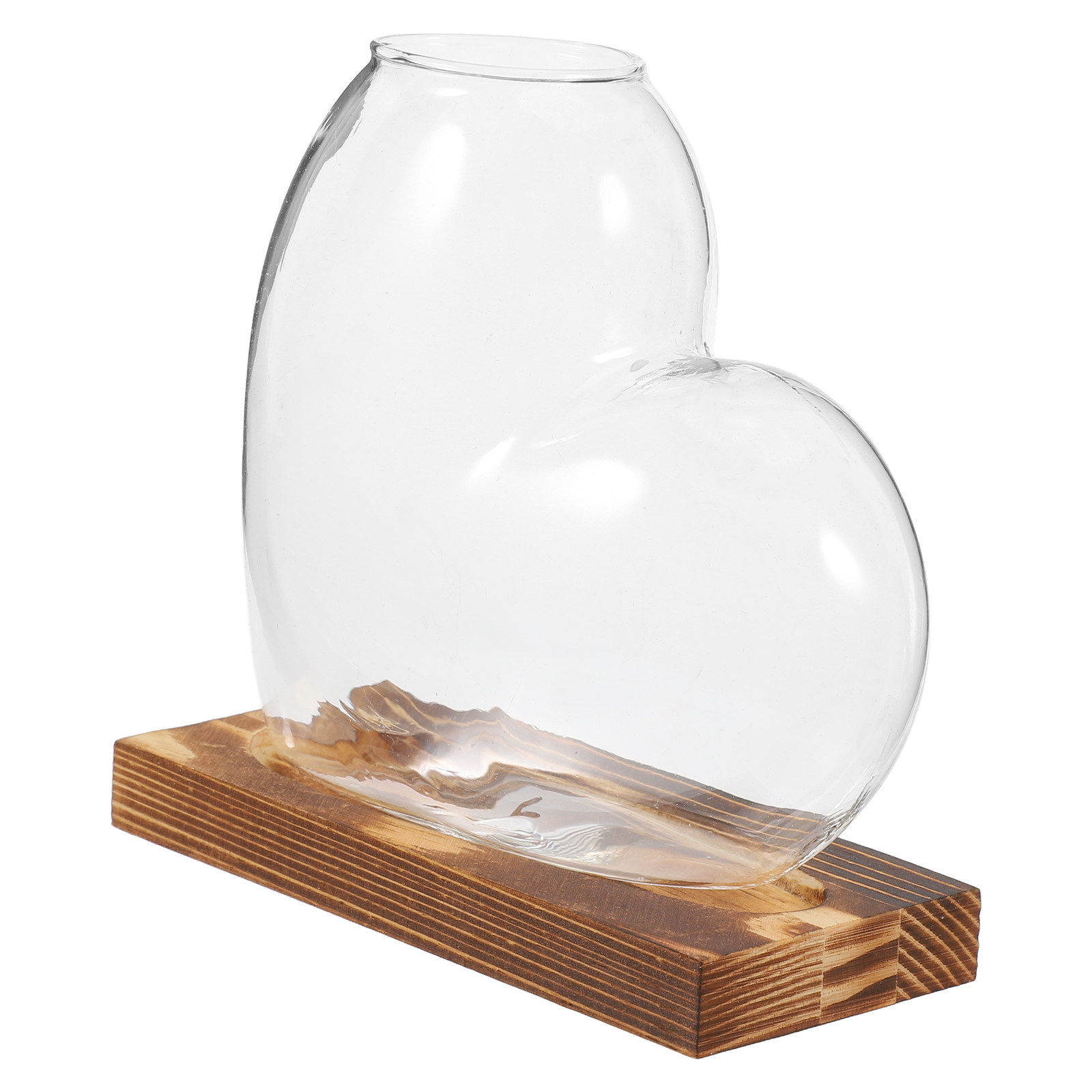 Hydroponische glazen vaas, tra - Propagation Station Vase recensie en prijs