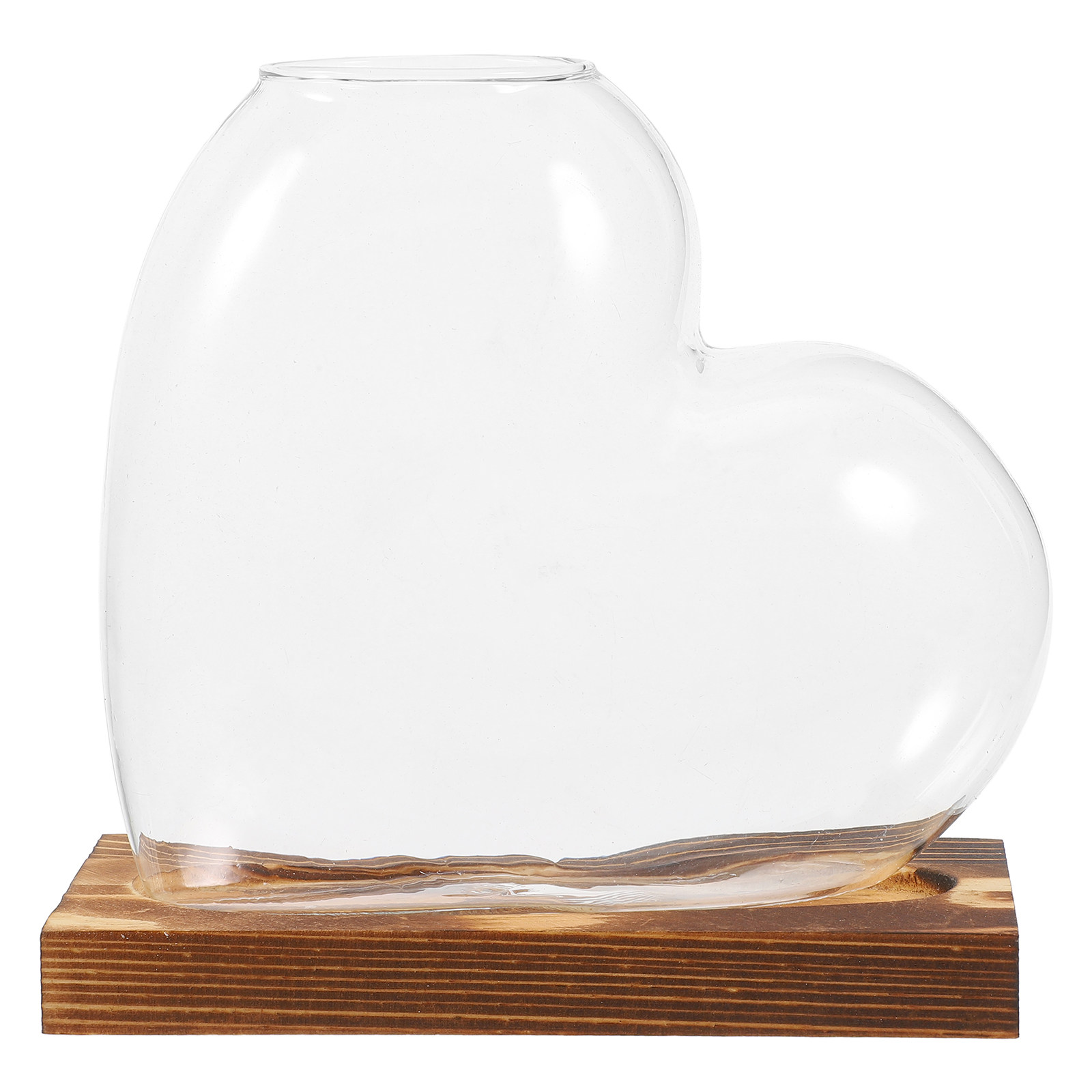 Hydroponische glazen vaas, tra - Propagation Station Vase recensie en prijs