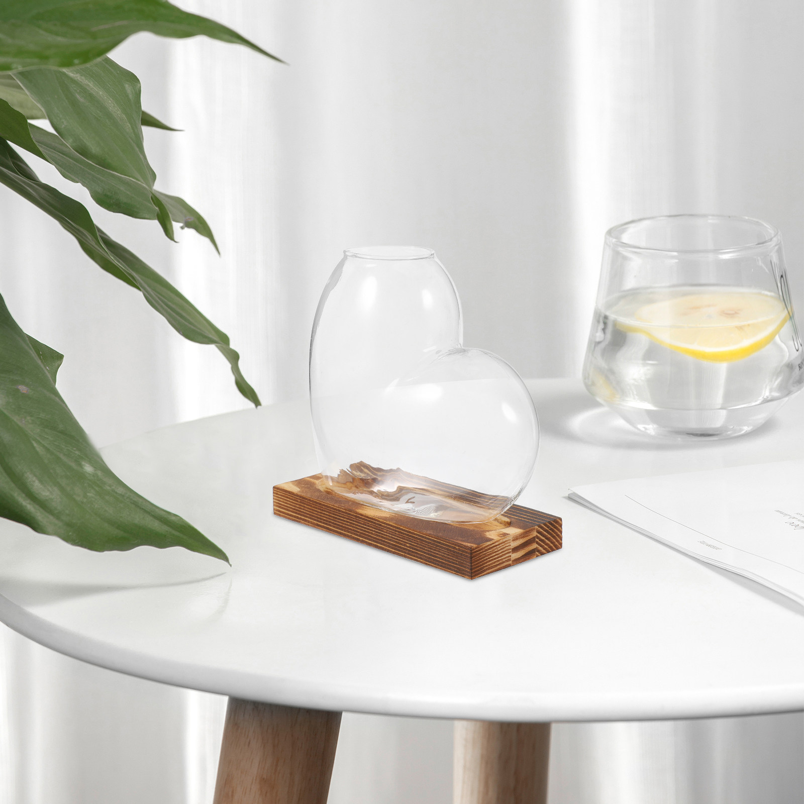 Hydroponische glazen vaas, tra - Propagation Station Vase recensie en prijs