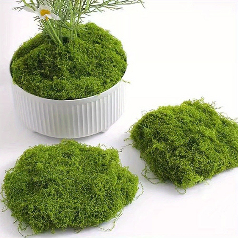 Groen nepmos DIY knutselwerk g - Sphagnum Moss Dry recensie en prijs
