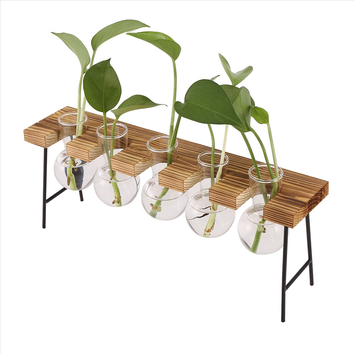 ABFS Propagatiestationen Deskt - Propagation Station Vase recensie en prijs