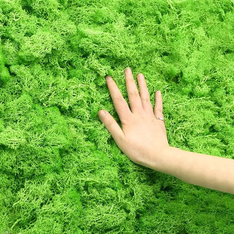 Kunstmatige groene plantenmosg - Sphagnum Moss Dry recensie en prijs