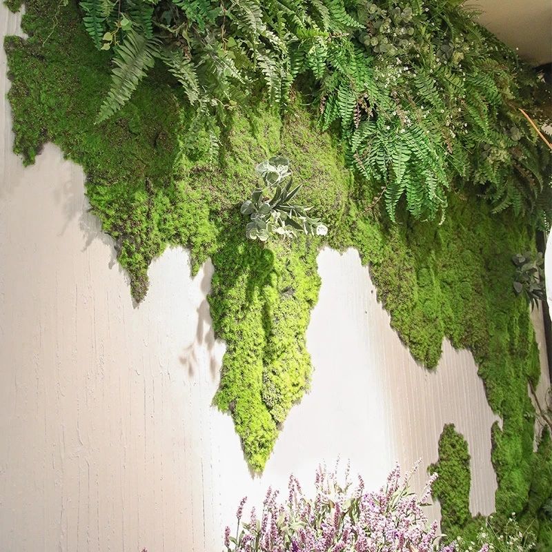 Kunstmatige groene plantenmosg - Sphagnum Moss Dry recensie en prijs
